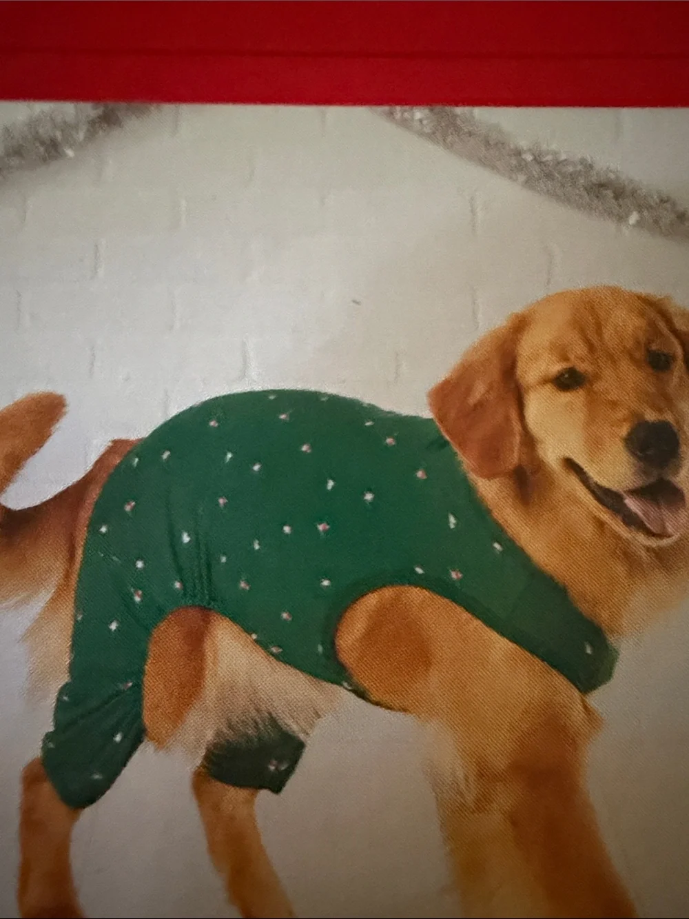 Wondershop Green med dog Pajama Set with Skiers